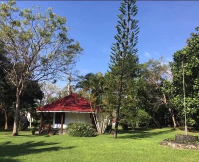 Subodinee Bungalow ウェリガマ エクステリア 写真